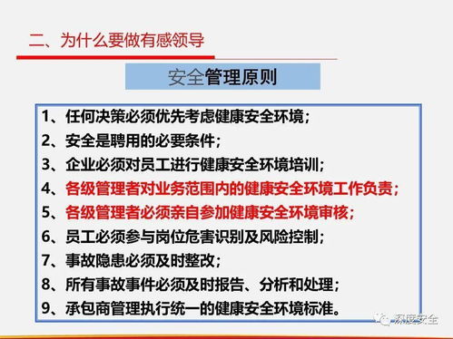 筑牢安全防线 直线组织落实有感领导、直线责任与属地管理在对外投资管理中的实践
